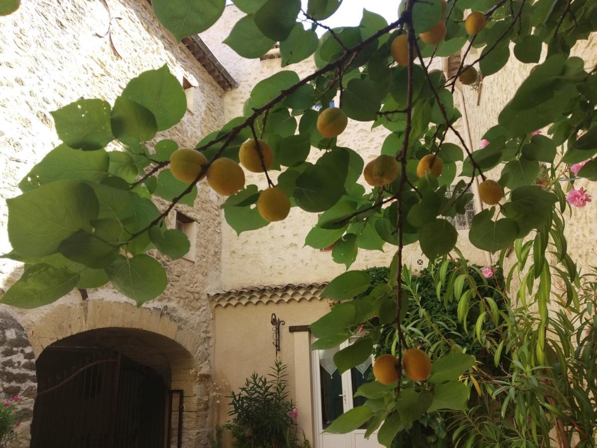 Lauris Le Terebinthe B&B מראה חיצוני תמונה